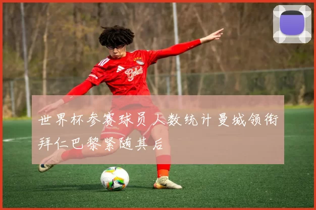世界杯参赛球员人数统计曼城领衔拜仁巴黎紧随其后